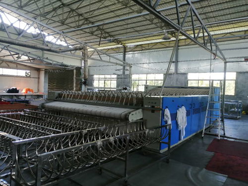 洗滌廠轉讓與技術轉讓 全面指南與注意事項